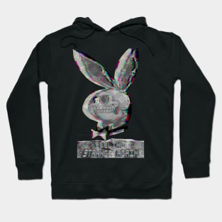 Funny Rabbit Hoodie